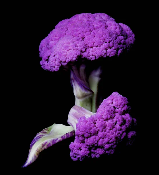 Fresh Purple Cauliflower — Stock Photo, Image