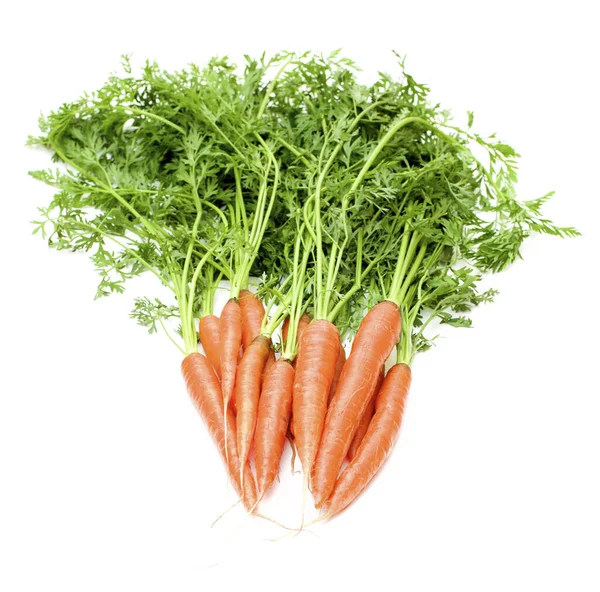 Big Bunch Fresh Organic Carrots Green Stems Isolated White Background — Stock Photo, Image