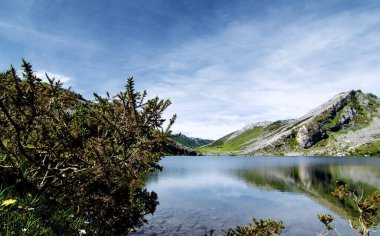 Cantabrian Dağları arasındaki Vadi 'deki Lago de Enol' da. Covadonga, İspanya