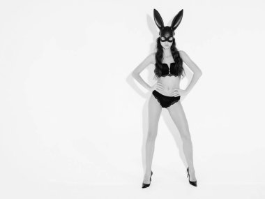 Büyük göğüslü, Paskalya tavşanı karnaval maskesi takan güzel seksi kadın. Stüdyoda beyaz duvarın yanında poz veren seksi sarışın kız. Güzel iç çamaşırlarıyla baştan çıkarıcı bir model. Siyah ve beyaz