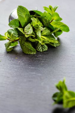 karanlık bir arka plan üzerinde metal bir demet nane