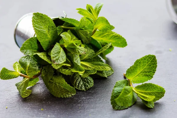 Mint dalam ember logam pada latar belakang gelap — Stok Foto