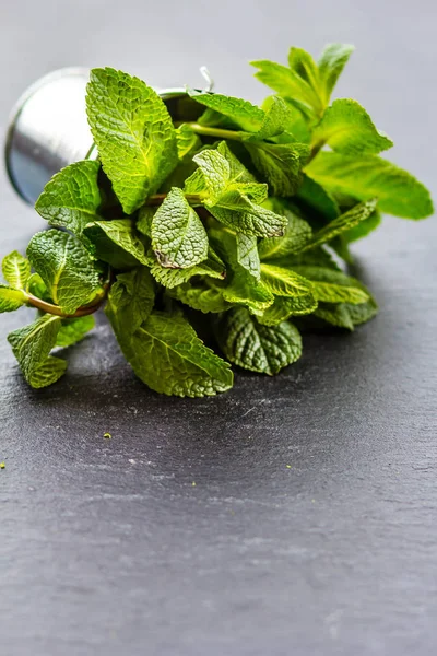 Mint dalam ember logam pada latar belakang gelap — Stok Foto