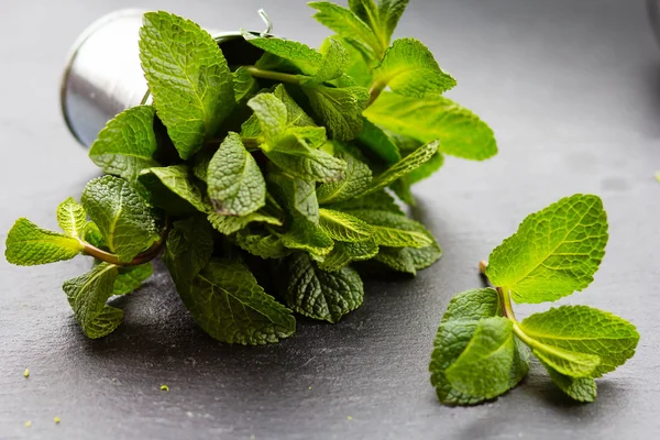 Menthe dans un seau métallique sur un fond sombre Photos De Stock Libres De Droits