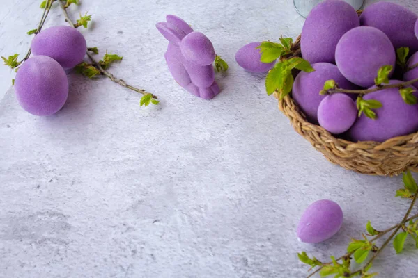 Warna Warni Telur Paskah Dan Cabang Dengan Bunga Stok Foto Bebas Royalti