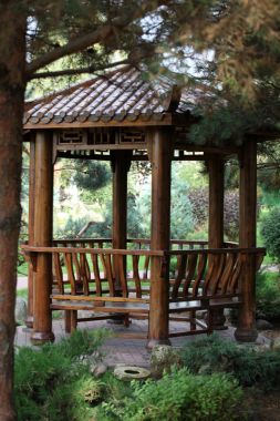 Bir sonbahar Bahçe Çince Arbor'da
