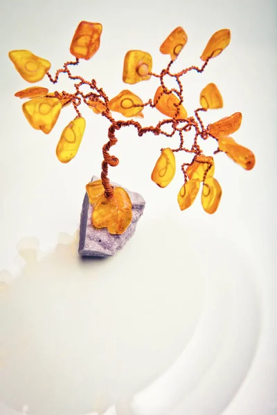 Árbol de Amber Bonsai —  Fotos de Stock