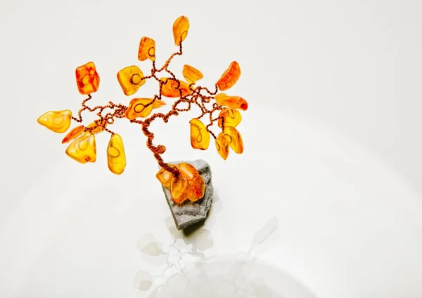 Amber Bonsai Tree — Stock Photo, Image
