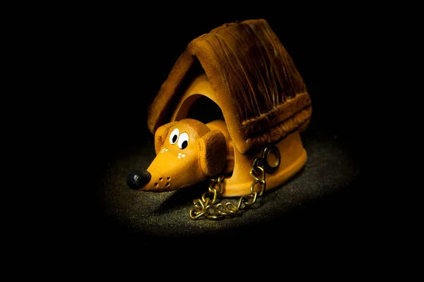 Yellow Dog Concept Black Background — Stock Photo, Image