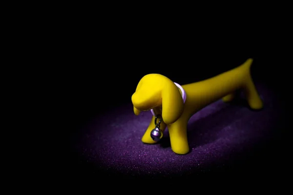 黒の背景に黄色い犬コンセプト — ストック写真