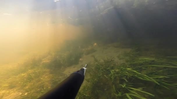 Podvodní Lovec Astrachaň Pitné Vody — Stock video