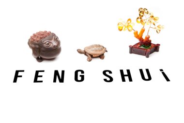 paralar kurbağa feng shui