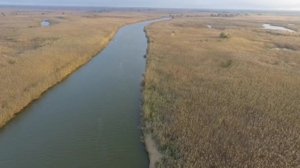 Russia Astrakhan Natura Selvaggia Bella Nebbia Primavera Tempo Fiume Nebbia — Video Stock