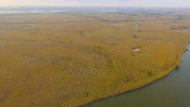 Rusya Astrakhan vahşi doğa güzel bahar zamanı balıkçılık, plaj, su, görünüm, güney, arka plan, miami, deniz, okyanus, görüntüleri, doğa, mavi, yaz, park, nokta, iskele, florida, tropikal, kum, rekreasyon, günbatımı, sahil, adam, anten, insanlar, gökyüzü, 
