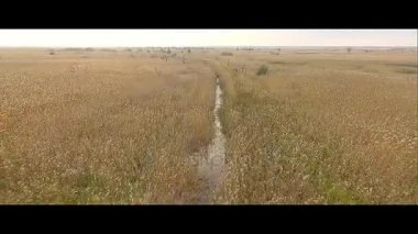 Rusya Astrakhan vahşi doğa güzel bahar zaman balıkçılık, rusya, doğa, manzara, nehir, su, göl, gökyüzü, güneş, arka plan, balık, gölet, buz, yaz, çizgi, spor, eğlence, yakalamak, çubuk, balıkçı, yem, olta, yeşil, huş ağacı, bahar, makara, ışık, 