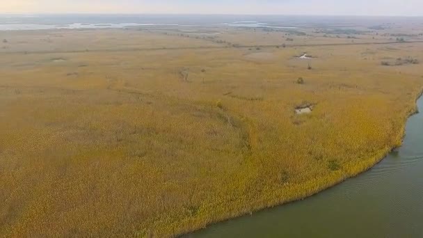 Rússia Astrakhan Natureza Selvagem Bela Pesca Primavera Praia Água Vista — Vídeo de Stock