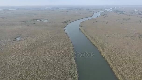 Russie Astrakhan nature sauvage beau printemps astrakhan, texture, mur, volga, Russie, fonds d'écran, ville, vieux, ciel, Voyage, architecture, aiguisé, rue, fond, rivière, peinture, bâtiment, maison, histoire, vladimir, été, vintage, landsca  