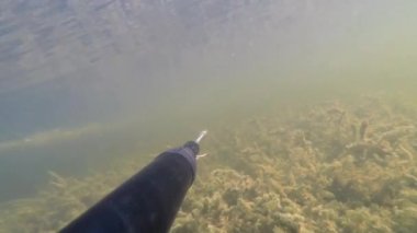 Sualtı avcısı Astrahan Volga Nehri