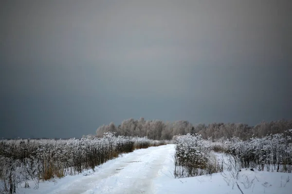 Vinter Bakgrund Snöiga Natur — Stockfoto