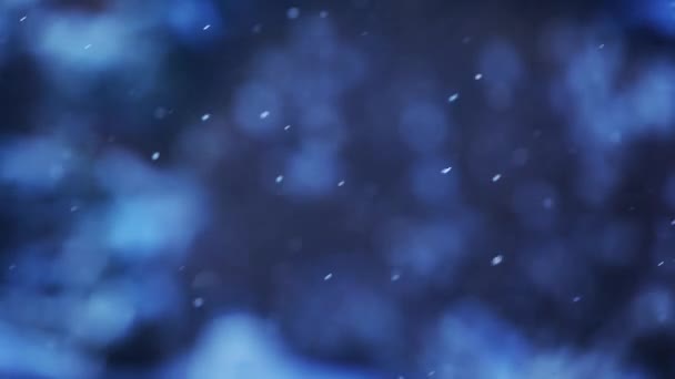 Зимние Снежные Кадры — стоковое видео