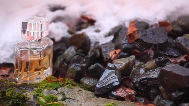 Bouteille Parfum Verre Brouillard Matinal — Video