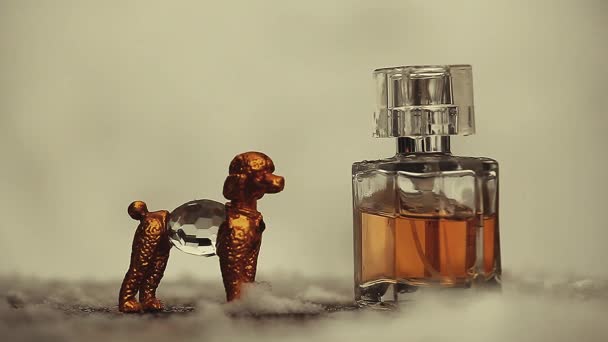 Glass Perfume Bottle Gold Dog Winter Snow — Stock Video