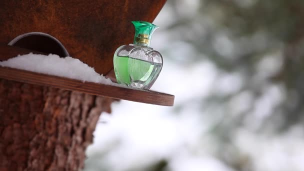 Perfume Vidrio Invierno Bosque Nieve — Vídeo de stock