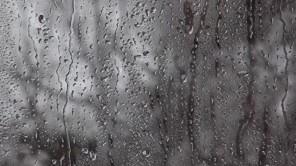 Chuva Gota Primavera Filmagem — Vídeo de Stock