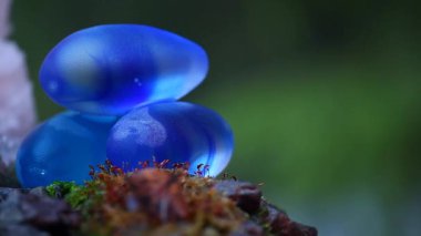 Mavi taş bahar görüntüleri