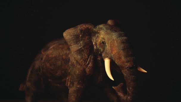 Images du studio d'éléphants  