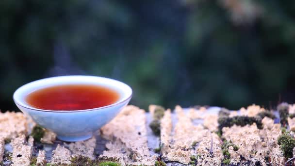 Black Chinese Tea Footage — Stock Video