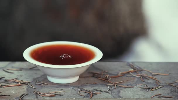 Black Chinese Tea Footage — Stock Video