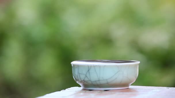 黑中国茶片段 — 图库视频影像