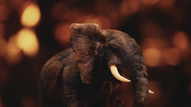 Indiai elefánt ábra felvétel 