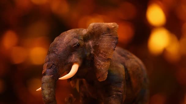 Elefante Indiano Figura Filmagem — Vídeo de Stock