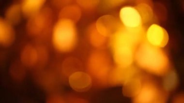 Altın Bokeh Studio görüntüleri