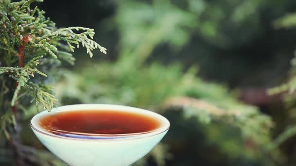 Czarna Chińska Herbata Nagrania — Wideo stockowe