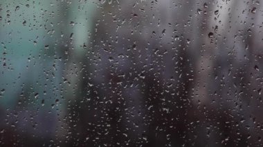 Windows yağmur damla bahar görüntüleri