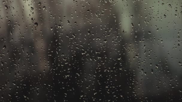 Windows Дождя Капли Весны Кадры — стоковое видео