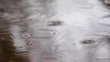 Yol yağmur damla görüntüleri