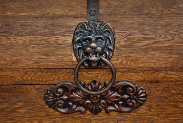 Décor Lion Métal Fond Bois — Photo