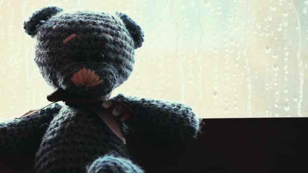 Niedźwiedź Wełny Deszcz Drops Okna — Wideo stockowe