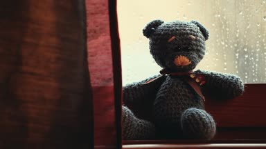 Yün ayı yağmur damla pencere