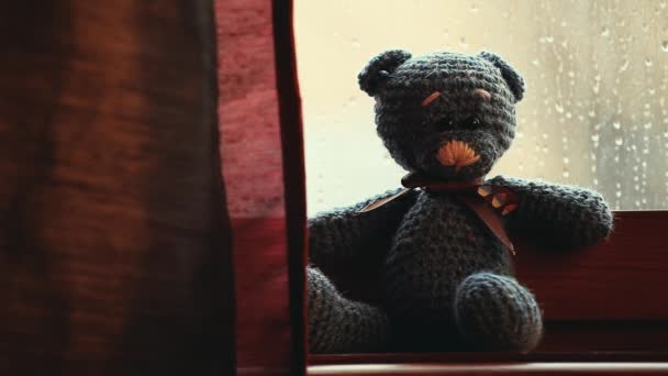 羊毛熊雨滴窗 — 图库视频影像
