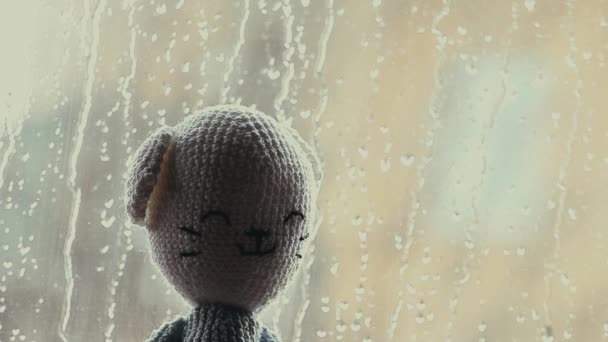 Wolle Bär Regen Tropfen Fenster — Stockvideo