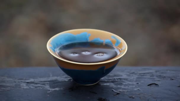 Siyah Çin Çayı Puer — Stok video
