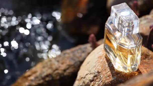 Rzeka Wiosna Szklane Butelki Perfum — Wideo stockowe