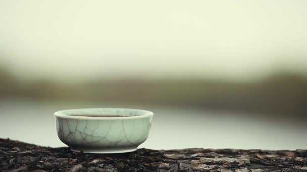 Black Chinese Tea Puer — Stock Video