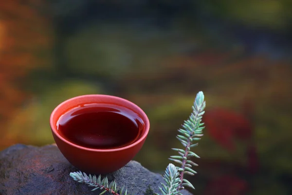 川を実行する中国の紅茶 — ストック写真