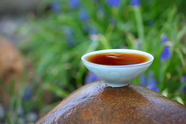 Black Chinese Tea Garden — Stock Photo, Image